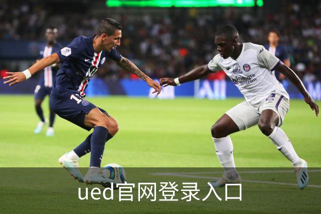 ued官网登录入口公司简介
